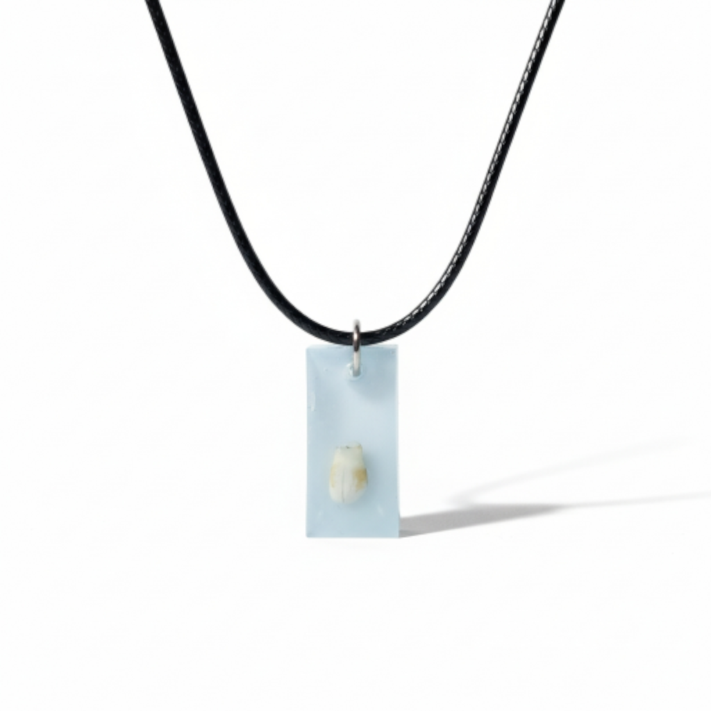 collar barrita diente