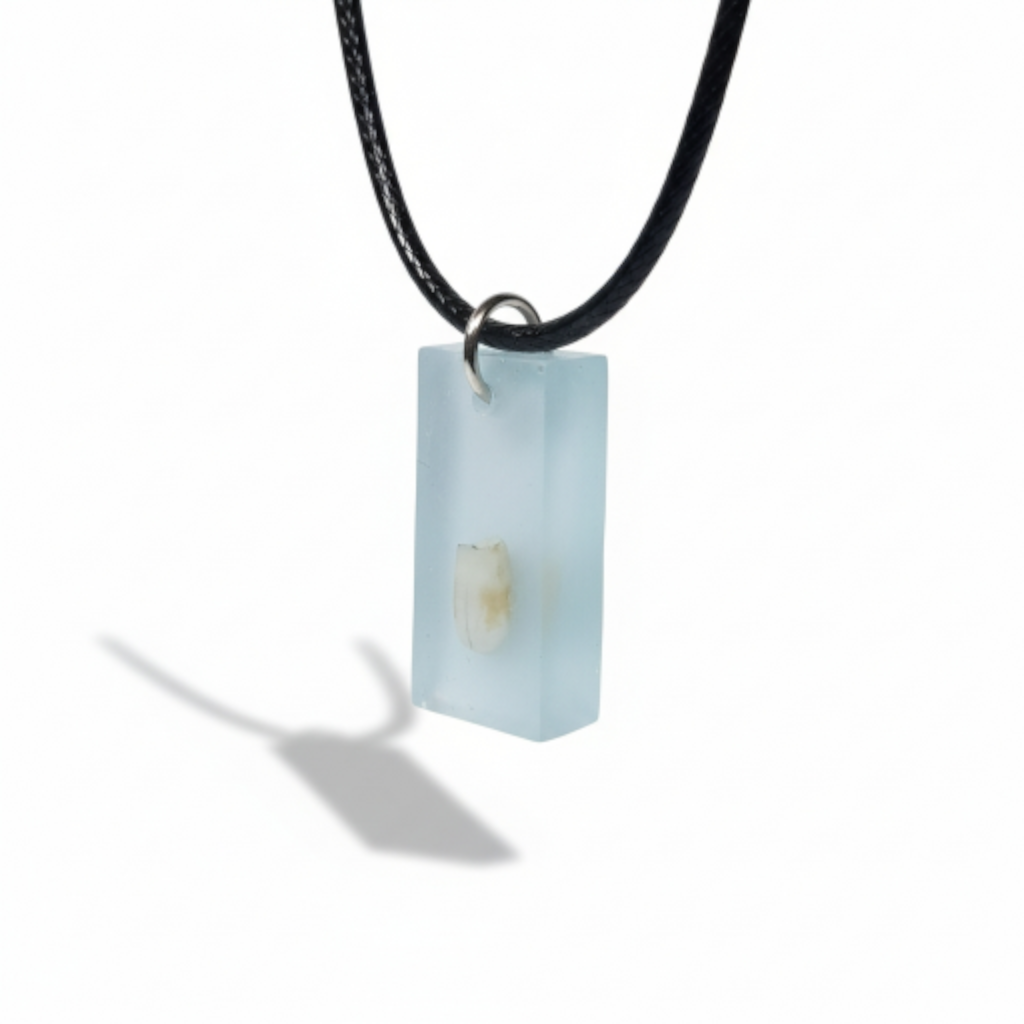 collar barrita diente