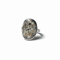 Anillo Origen