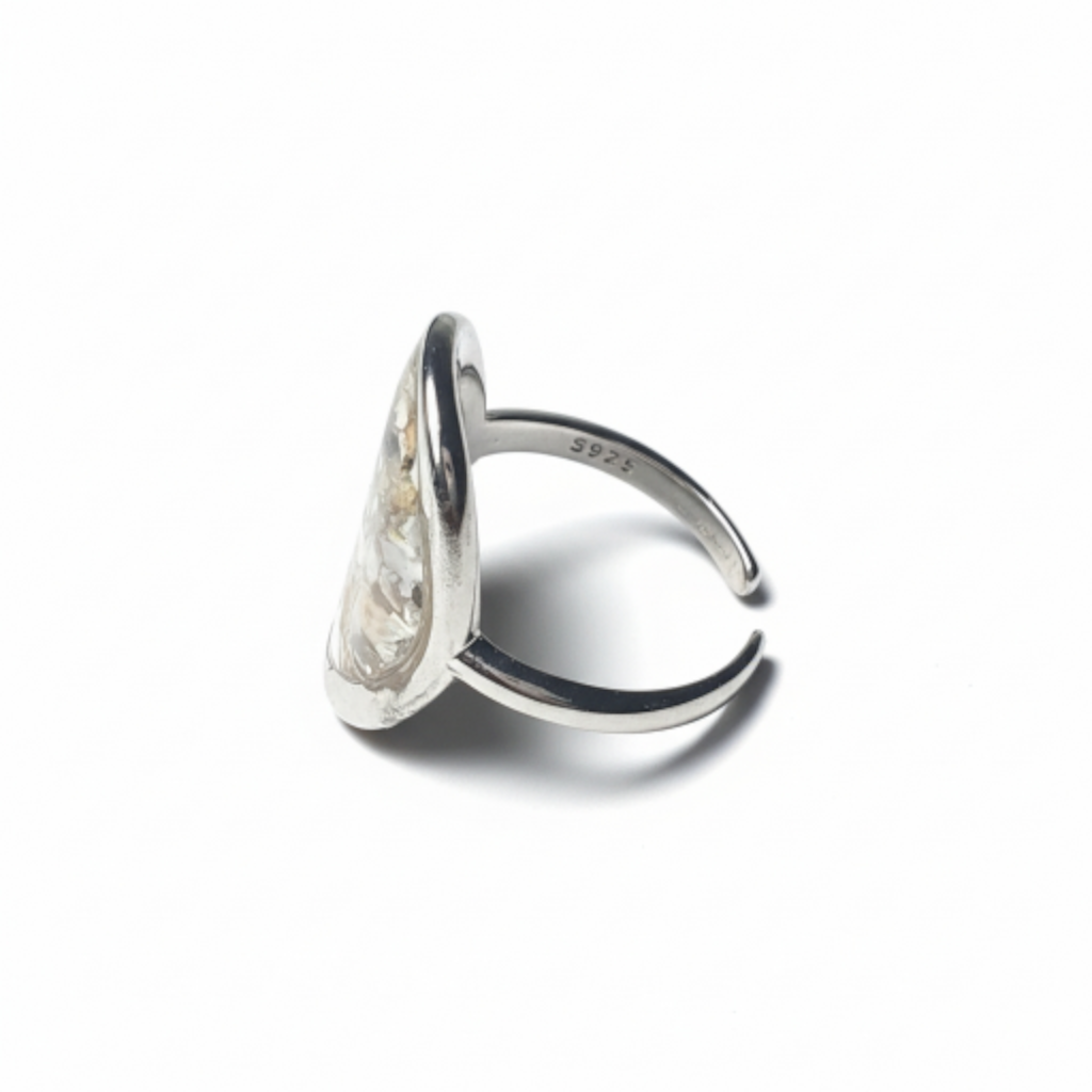 Anillo Origen