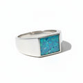 Anillo sello Asgard