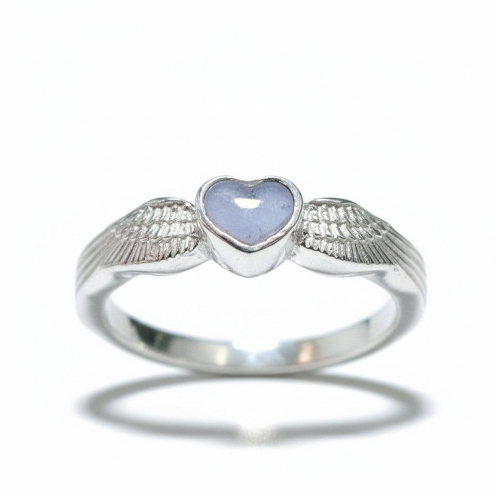 Anillo Centinela