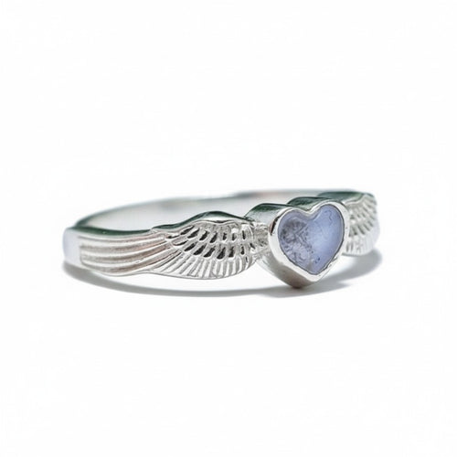 Anillo Centinela