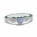 Anillo Centinela