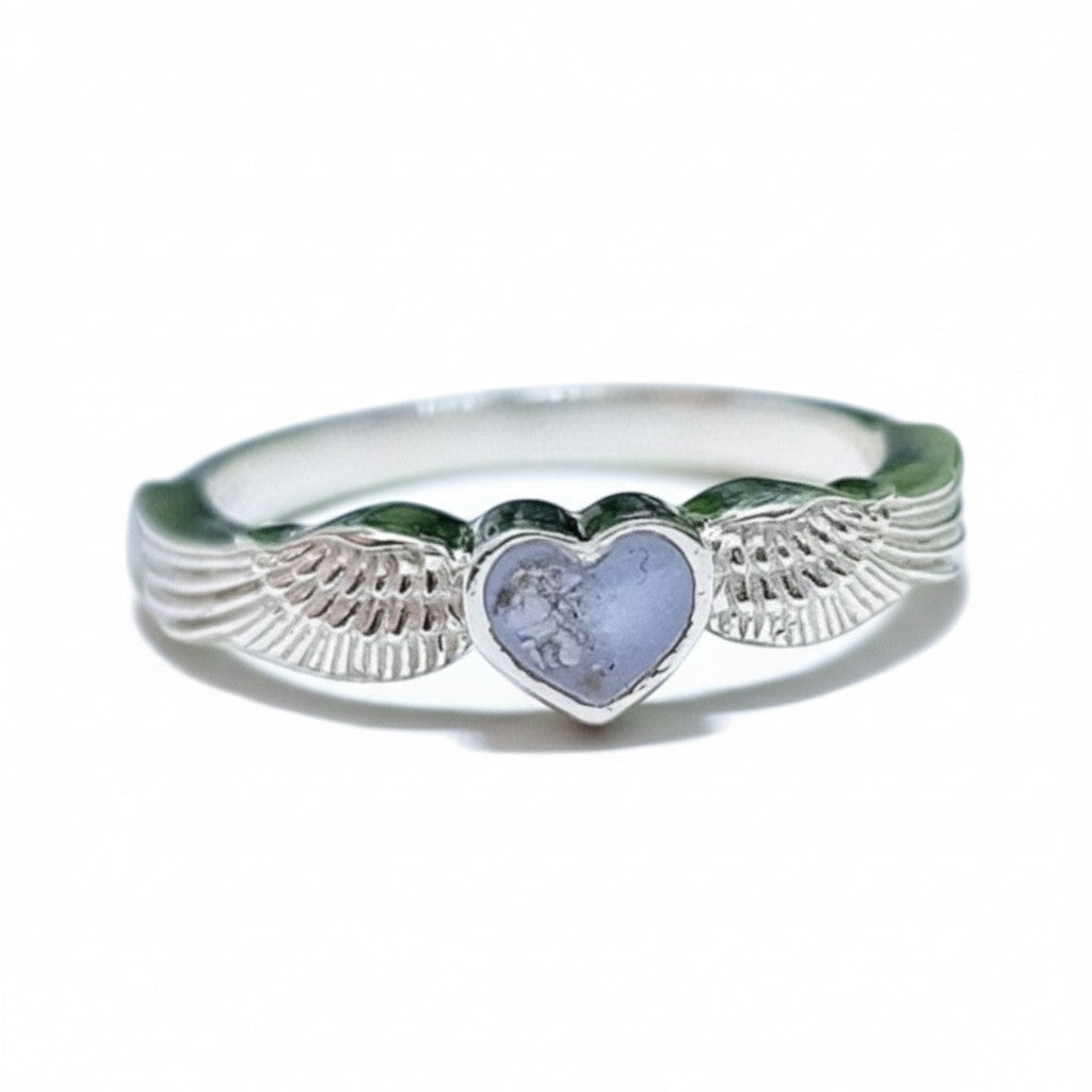 Anillo Centinela